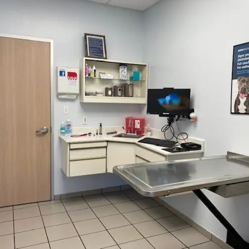 View of an exam room at Bay Glen Animal Hospital